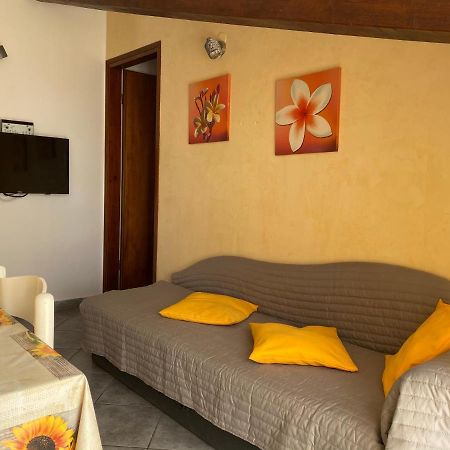 Apartments Tajana Новиград Экстерьер фото