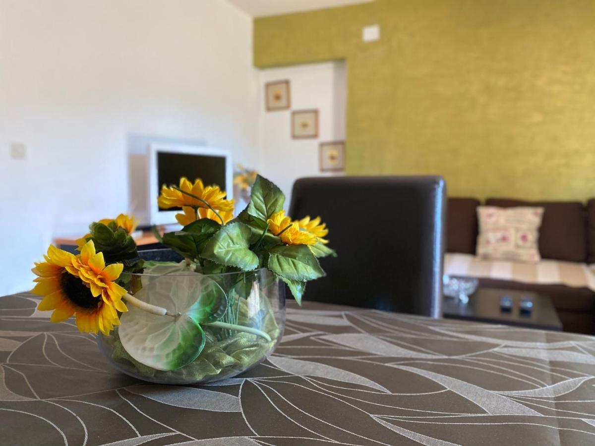 Apartments Tajana Новиград Экстерьер фото