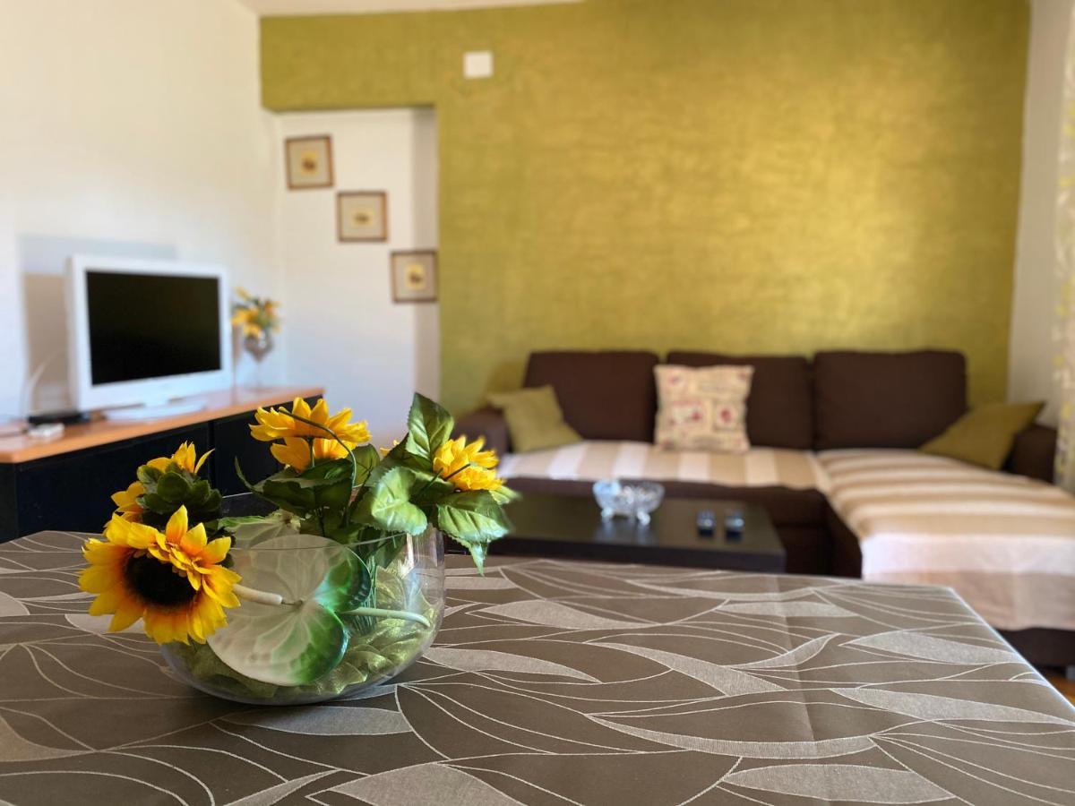 Apartments Tajana Новиград Экстерьер фото